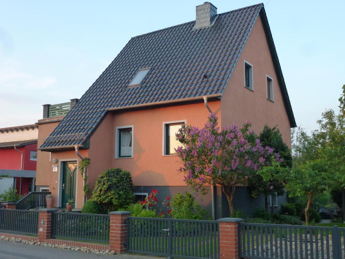 Seeblick Kemnitz Werder  Kültér fotó