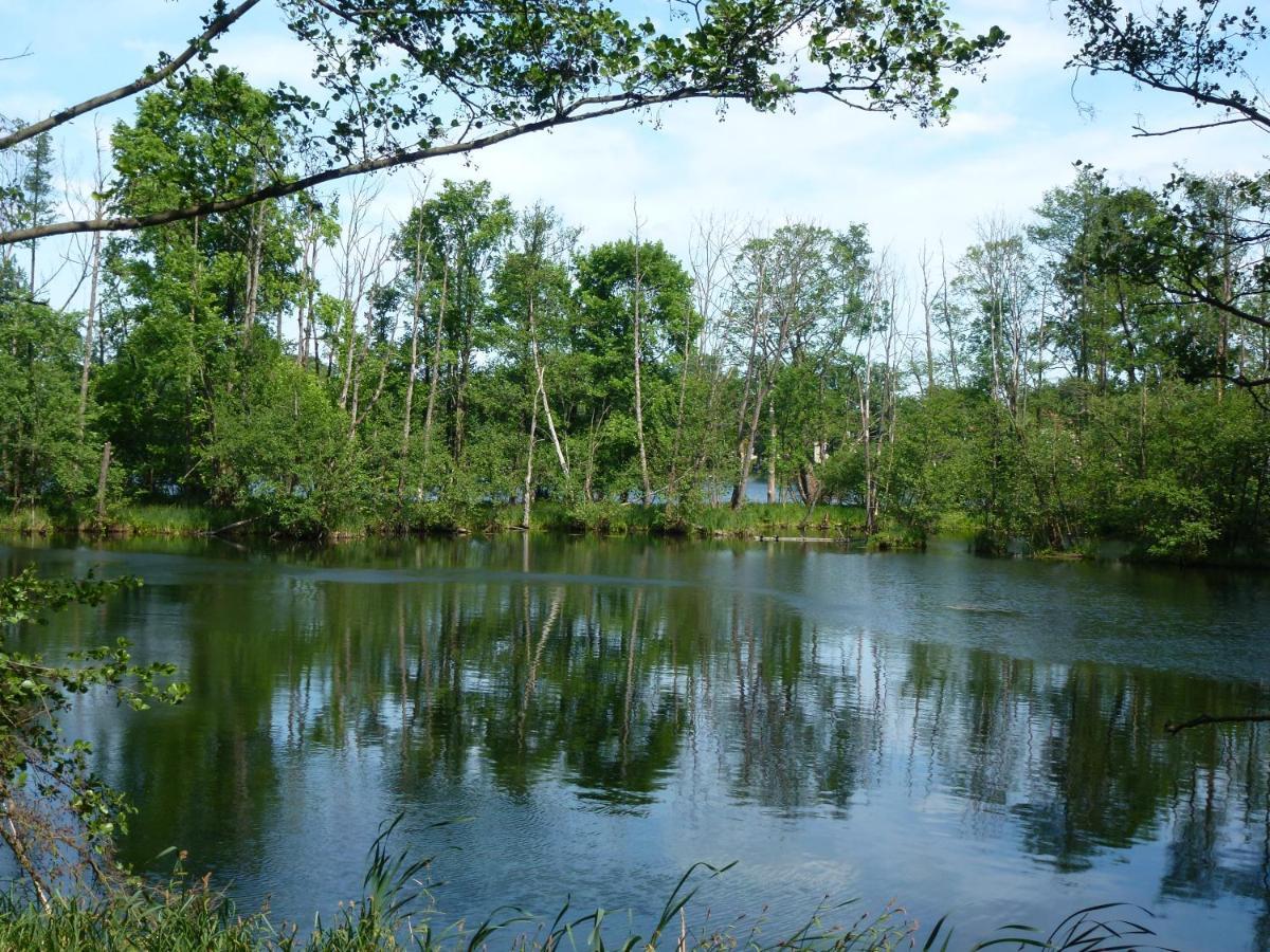 Seeblick Kemnitz Werder  Kültér fotó