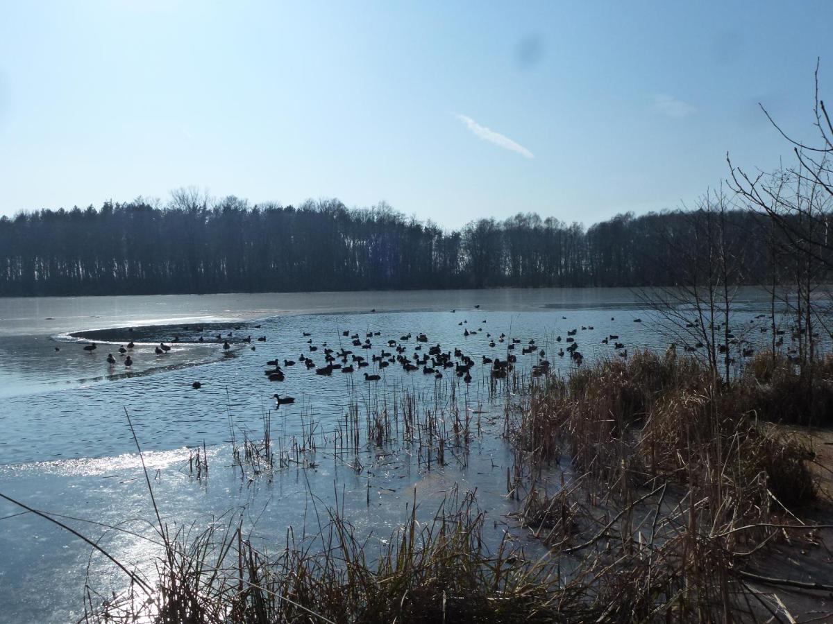 Seeblick Kemnitz Werder  Kültér fotó
